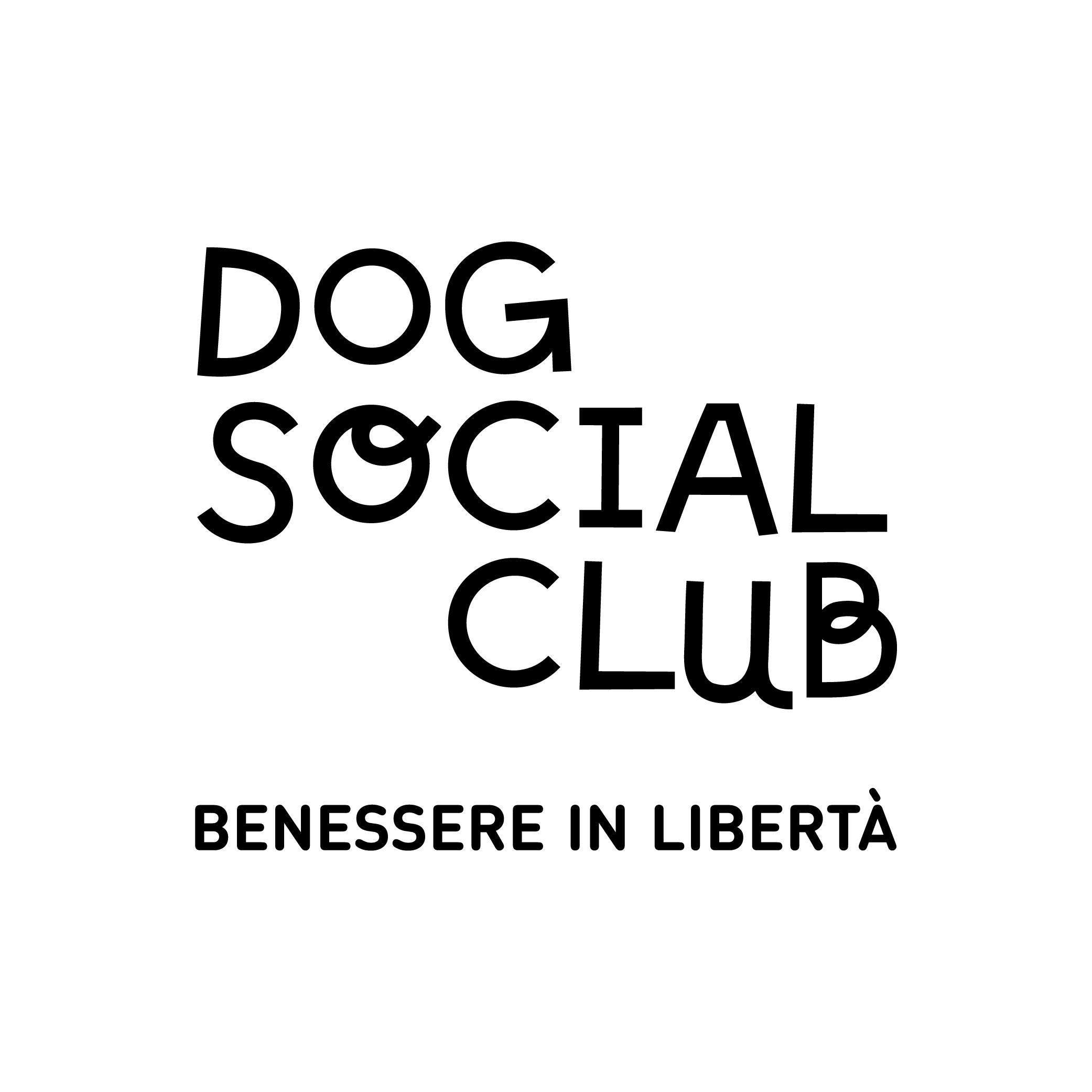 Dog Social Club ASD