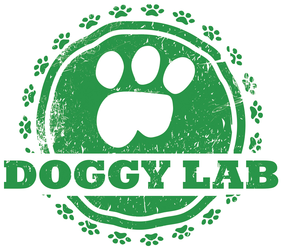 Doggy Lab ASD