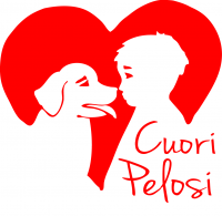 Cuori Pelosi ASD