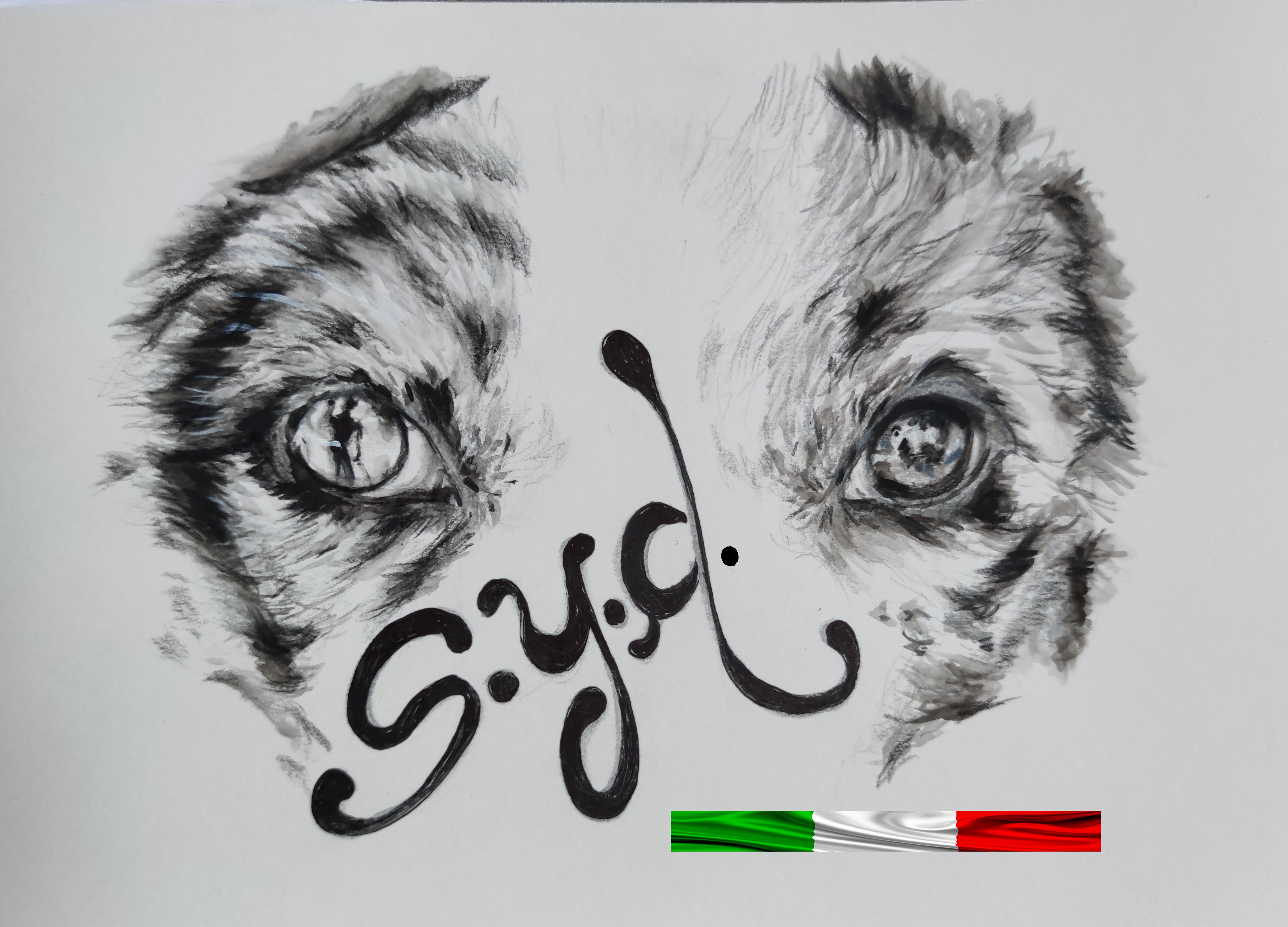 See Your Dog ASD